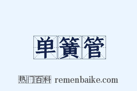 单簧管是什么意思的图片